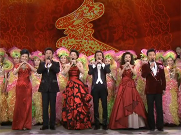 2014年中央电视台春节晚会专题