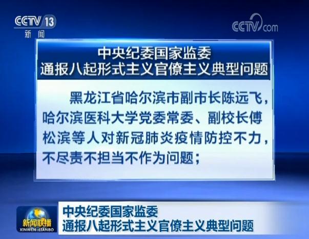 中央纪委国家监委通报八起形式主义官僚主义典型问题