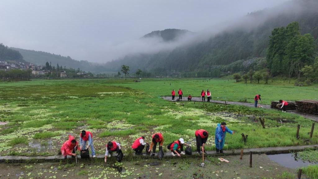 Various events held across China to mark World Environment Day