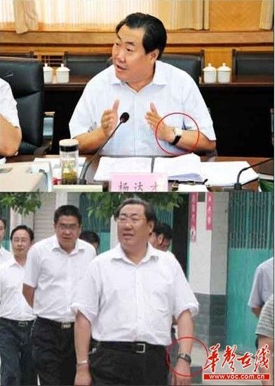 表哥杨达才_工资收入证明模板_杨达才收入