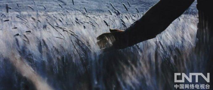  电影 《 角斗士 》的美术视觉分析_音乐_央视网