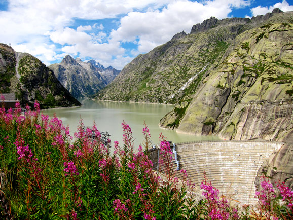 瑞士少女峰:跟我去徒步,光脚采蓝莓