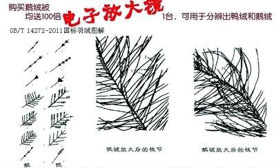 媒体揭羽绒制品内幕：几块钱飞丝冒充几百块鹅绒