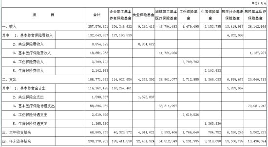 收入支出明细表模板_收入支出决算(3)