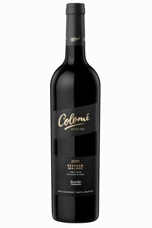 在阿根廷看图蓬加托火山