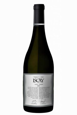 在阿根廷看图蓬加托火山