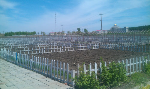 宾县:秀美八山引万千城里游客_网络新闻联播