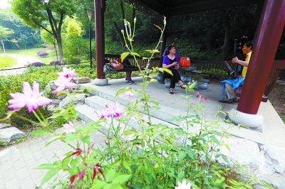 武汉斥4亿为荒山整形：调温效果相当6千台空调