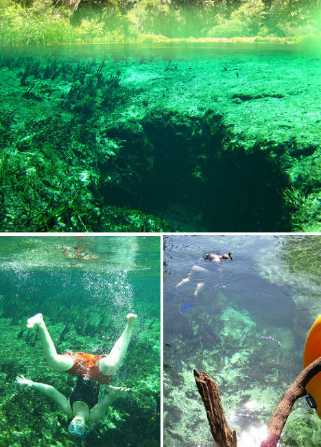 世界11处最美游泳胜地:波多黎各蓝色发光海水