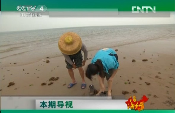 CCTV-4《远方的家》:主流媒体践行群众路线的