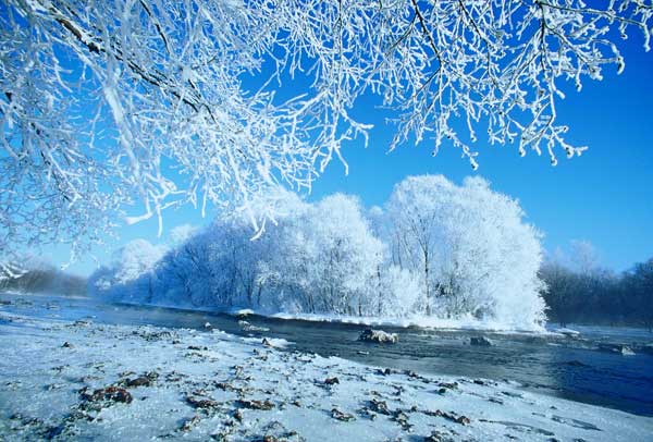 漫游冰雪奇景 追逐林海激情_旅游台_央视网