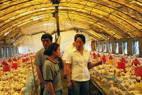 永生村干部深入养鸡场调研，帮助解决发展中遇到的难题