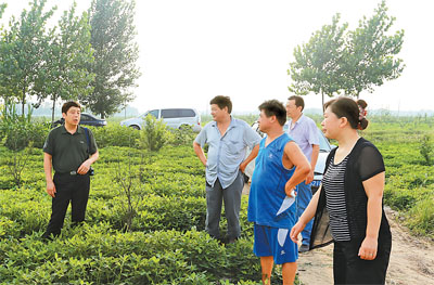 河南:集合人才智力服务地方发展