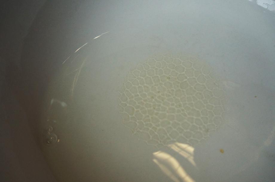 真假蜂蜜可加水鉴别,是真的吗?_是真是假_央视网(