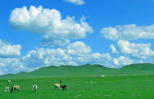 内蒙古自治区呼和浩特市:塞外青城 中国乳都_