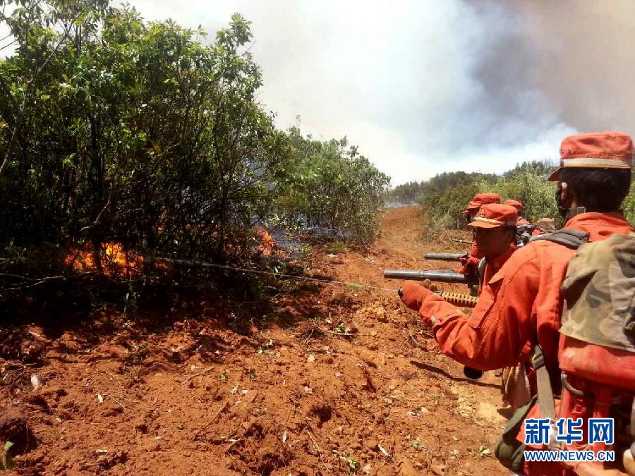 云南牟定发生一起森林火灾 <em>过火</em>面积约300亩_