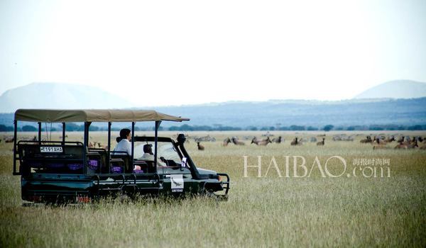 坦桑尼亚塞伦盖蒂国家公园 (Serengeti National Park)