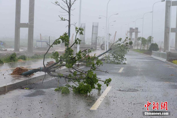 Tifón Matmo deja un saldo de 13 muertos y 2,5 millones de afectados tras su paso por China