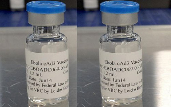 OMS: dos vacunas podrían usarse de manera experimental para enero