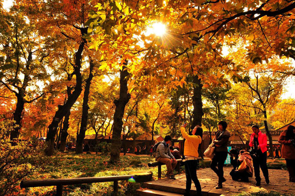 Residentes de Shanghai buscan distintas actividades para disfrutra del otoño en la ciudad