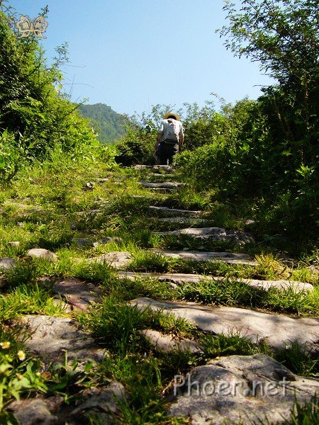 搜茶-茶马古道旅游