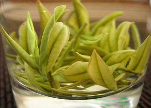 大家来找“茶” 遍布全球的10大名茶