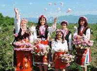 保加利亚：玫瑰之国