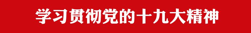 学习贯彻党的十九大精神