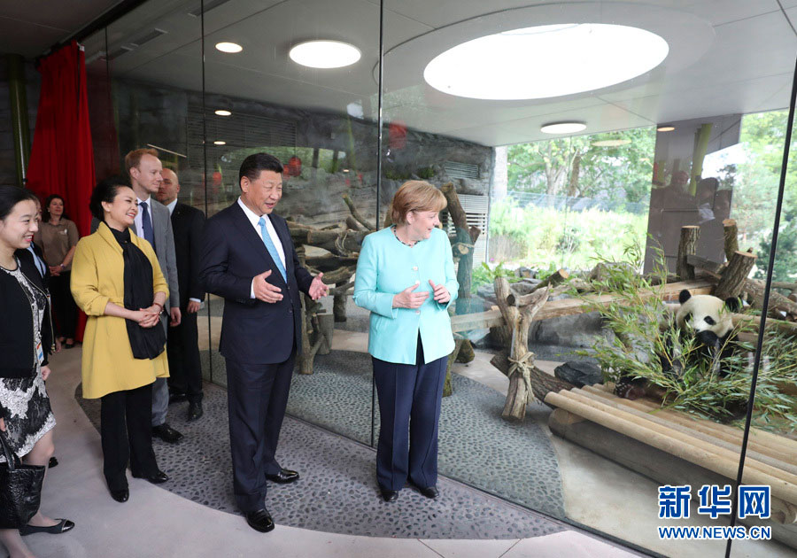 　　2017年7月5日，国家主席习近平同德国总理默克尔共同出席柏林动物园大熊猫馆开馆仪式。这是习近平和夫人彭丽媛同默克尔在大熊猫馆。图片来源：新华社