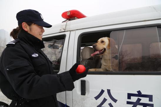 凌晨2点带犬巡逻，警花的“铲屎官”日常是这样的