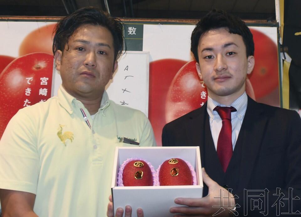 两个芒果卖50万日元 日本宫崎名牌芒果