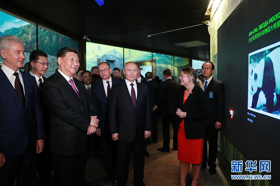 6月5日，国家主席习近平在莫斯科克里姆林宫同俄罗斯总统普京会谈。这是会谈后，两国元首共同出席莫斯科动物园熊猫馆开馆仪式。 新华社记者 丁林 摄