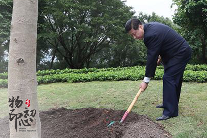 2012年12月7日至11日，习近平在广东省考察工作。这是习近平在深圳莲花山公园种下一棵高山榕树。