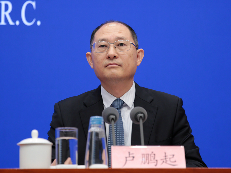 中国贸促会副会长卢鹏起