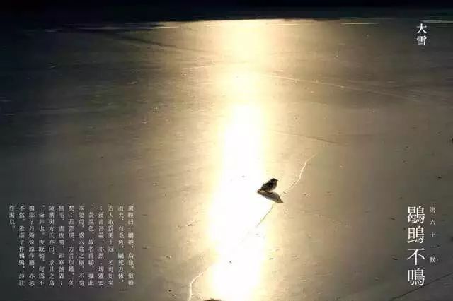 大雪，岁寒灯益暖，守望夜归人（图4）