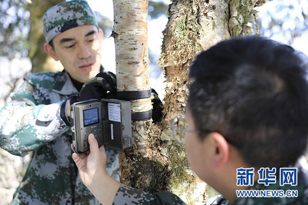 12月13日，巡护员张雄（左）和许可在安装红外相机。新华社发（杜哲宇 摄）