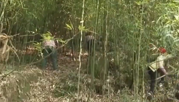 产业扶贫▲产业扶贫 挂牌督战筑牢脱贫根基