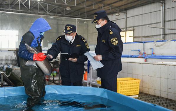 「海关」海关连出“硬核”措施支持企业复工复产