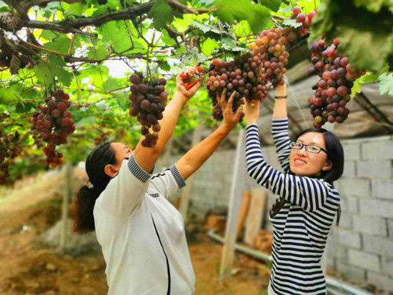 景区联合▲各地趁“五一”猛拉内需,力度效果哪家强?