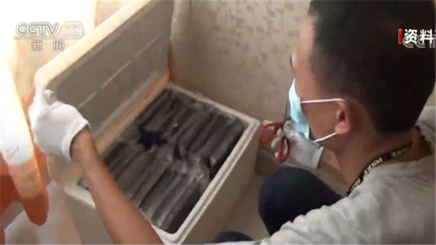 为躲避疫情偷渡入境！首名一级挂牌督捕涉毒逃犯落网