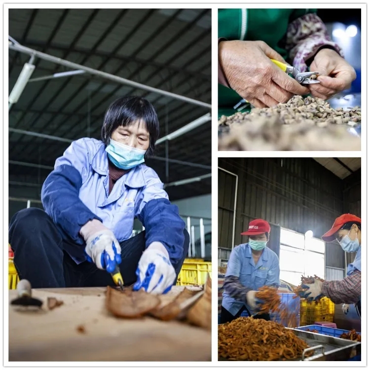 全球全球抗疫 源源不断的肇庆力量