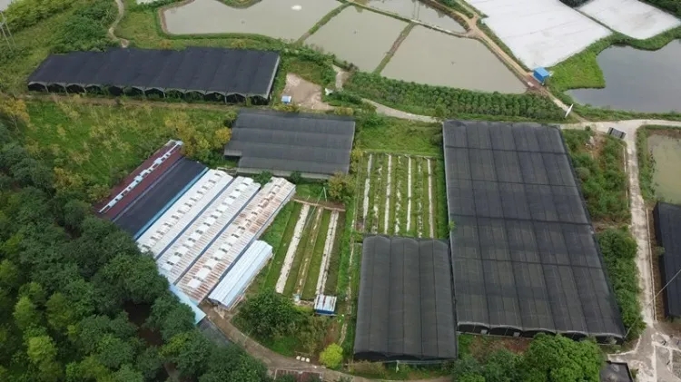 全球全球抗疫 源源不断的肇庆力量