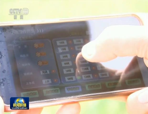 夏种夏种夏管农事忙 科技助力促丰产