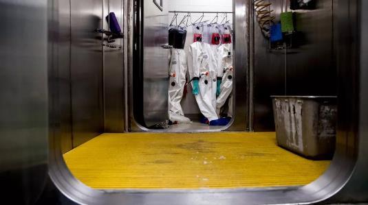 美国美国生物基地与病毒相关的两条时间线！外媒：毛骨悚然！