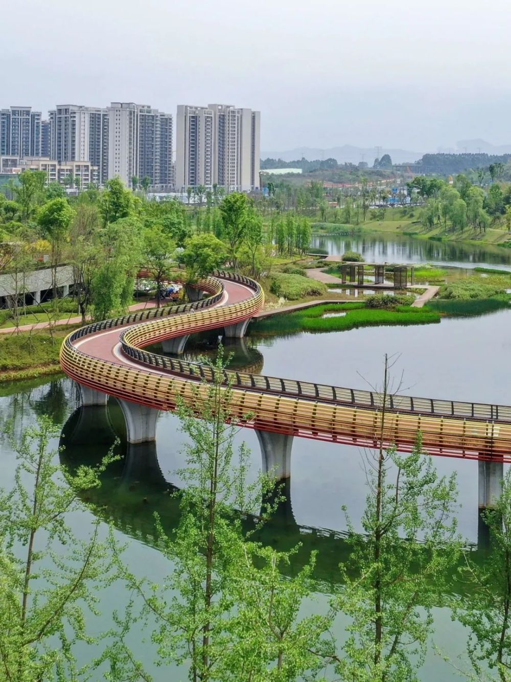 成都“闲”不下来的成都