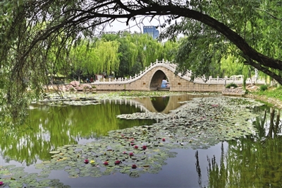 水环境宁夏首次发布城市水环境质量排名