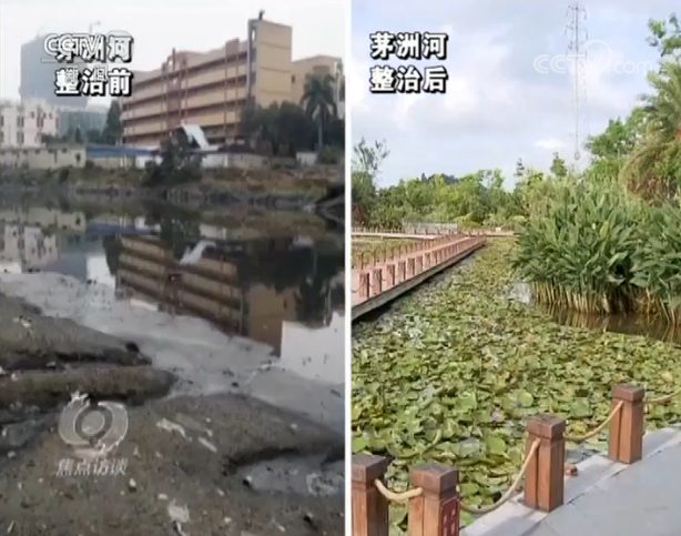 城市难题|焦点访谈：要想解决这道城市难题 还是要从源头治