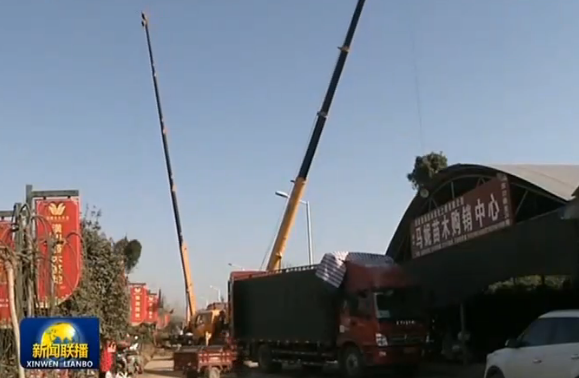 河南鄢陵|【走向我们的小康生活】河南鄢陵：花红树绿奔小康