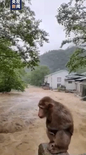 8点见|【8点见】王毅：中国不会也不可能变成另一个美国