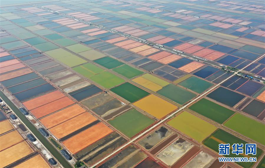 8点见|【8点见】王毅：中国不会也不可能变成另一个美国